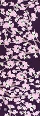 手ぬぐい「桜の花 地紫」